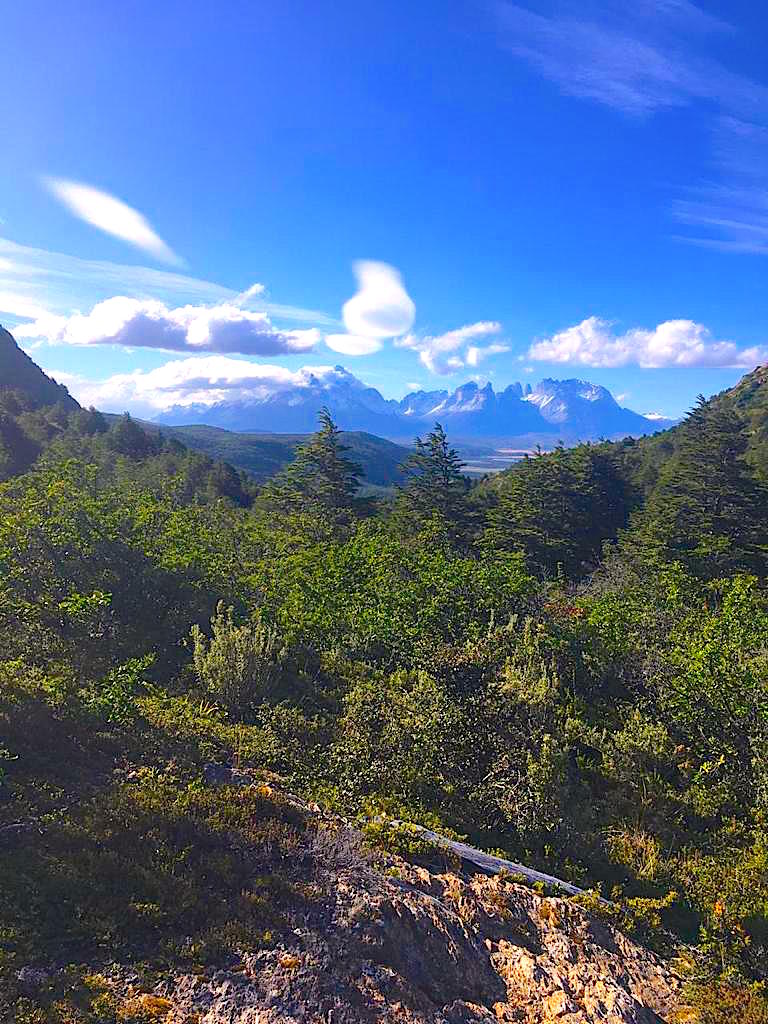 Terrenos en Límite Sur Parque Torres del Paine