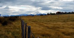 Sitio Turístico en Puerto Natales